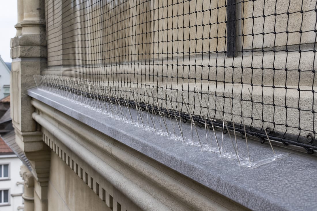 Beispiel: Taubennetz und Spikes an einem Gesims